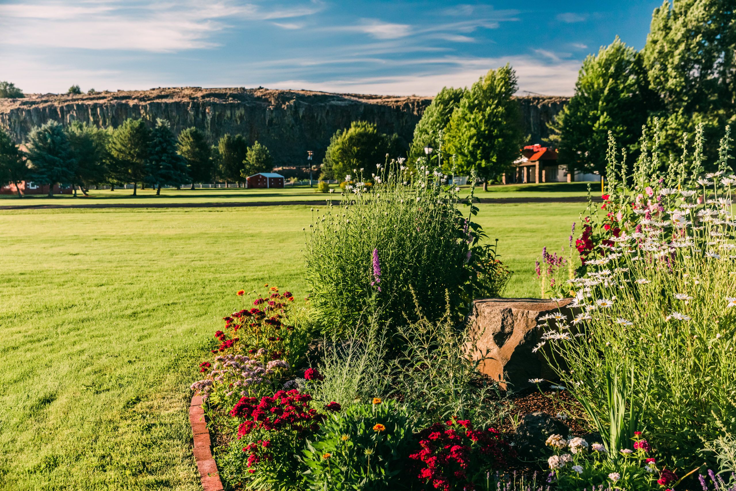 Sundown M Ranch garden flowers