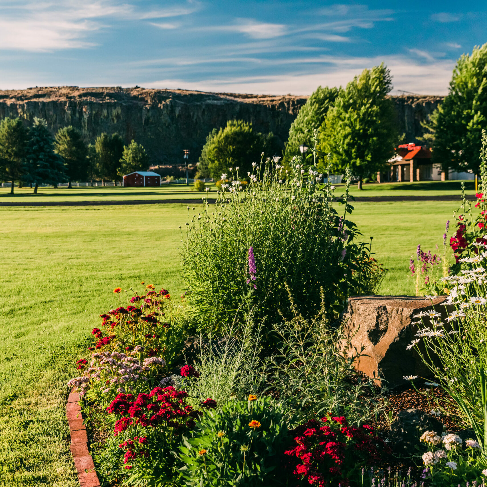 Sundown M Ranch garden flowers